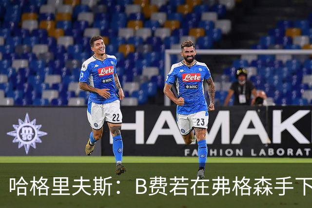 哈格里夫斯：B费若在弗格森手下说这话，就没机会再上场了