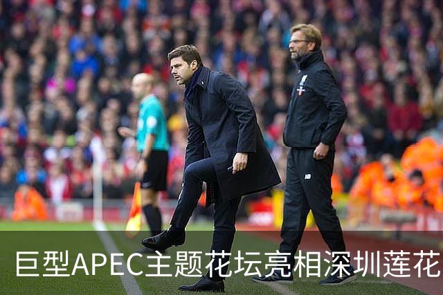 巨型APEC主题花坛亮相深圳莲花山公园