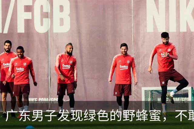 广东男子发现绿色的野蜂蜜，不敢吃怕有害，网友：极品！药用价值高！