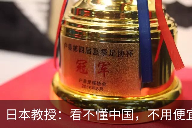 日本教授：看不懂中国，不用便宜的电线杆，非要花钱铺设地下电缆