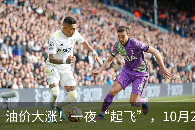 油价大涨！一夜“起飞”，10月25日全国92,95汽油“预涨近0.3元/升”，92汽油接近“9元/升”，2026年第14次上涨，倒计时4天，赶紧加油！
