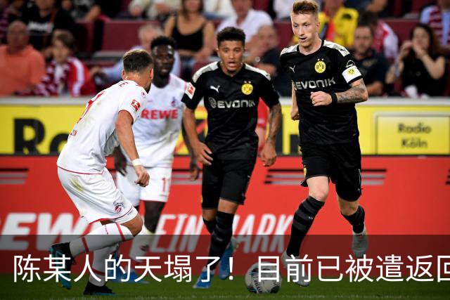 陈某人的天塌了！目前已被遣返回国
