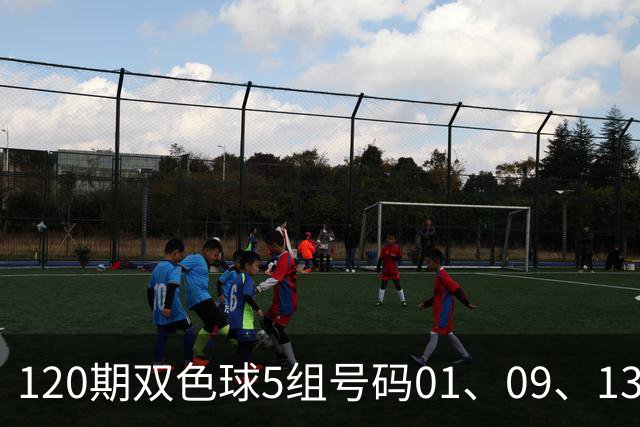 120期双色球5组号码01、09、13、21、27、31 + 16