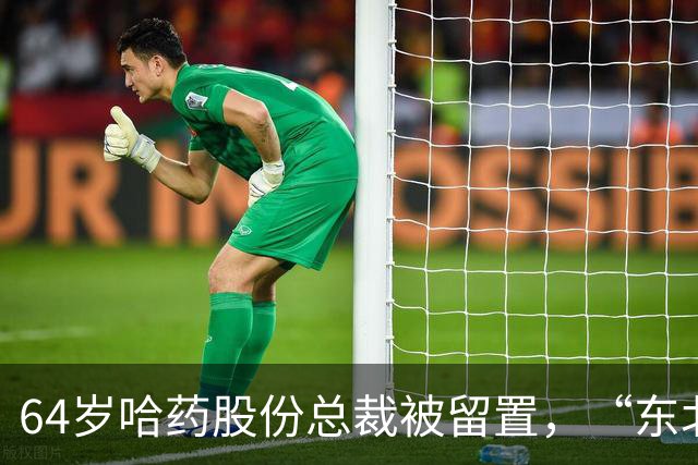 64岁哈药股份总裁被留置，“东北卢浮宫”背后的药企旧账